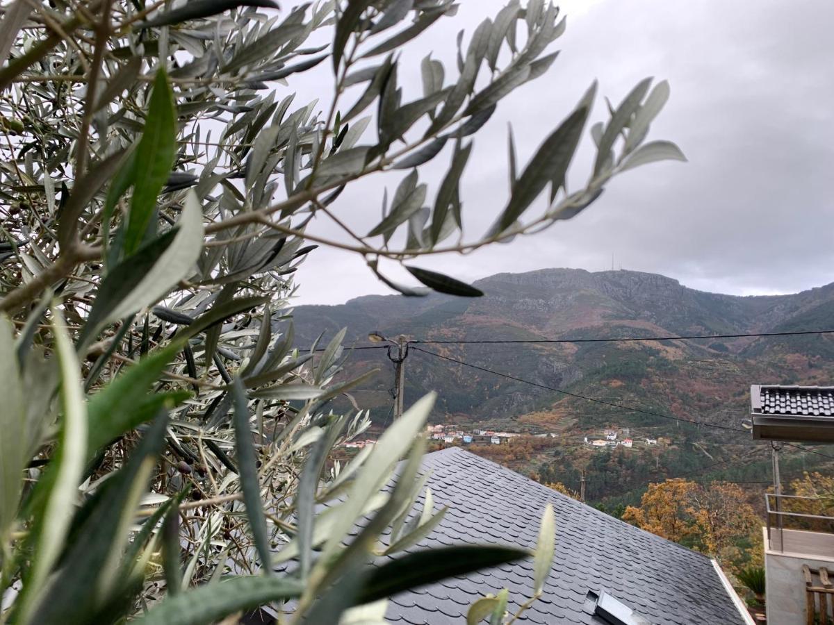 Villa Casa Do Julien Mountain Experience Vila Real Esterno foto